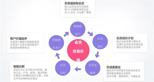 無棣多人拼團(tuán)軟件評(píng)測(cè) 山東良行美業(yè)小程序與信息咨詢服務(wù)的深度解析